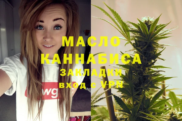 ALPHA PVP Инсар