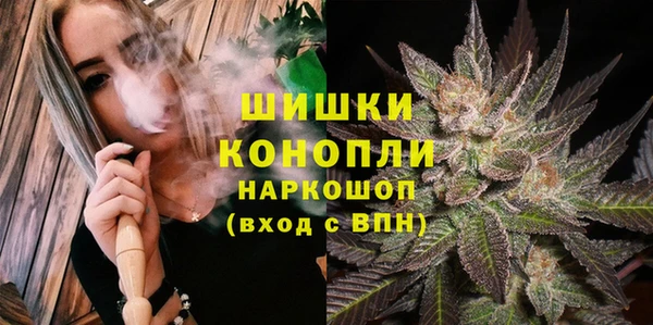 ALPHA PVP Инсар