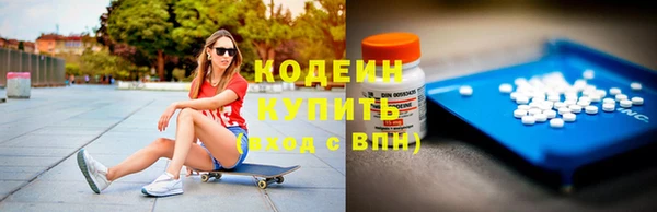 мдпв Инта