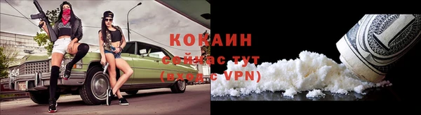 мдпв Инта