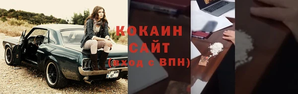 ALPHA PVP Инсар
