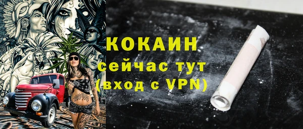 мдпв Инта