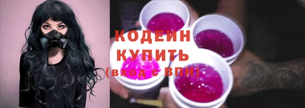 мдпв Инта