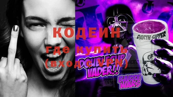 мдпв Инта