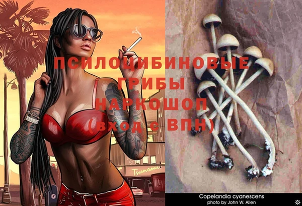 ALPHA PVP Инсар