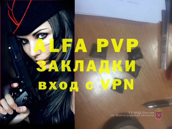 мдпв Инта