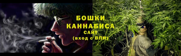 ALPHA PVP Инсар