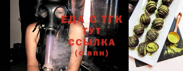 мдпв Инта